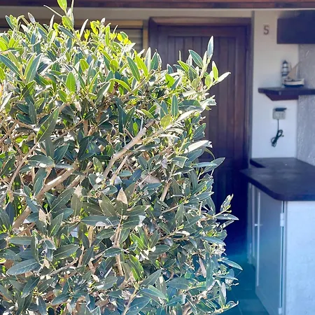 Appartement Nuras - Monolocale Sea-front Cala Lupo