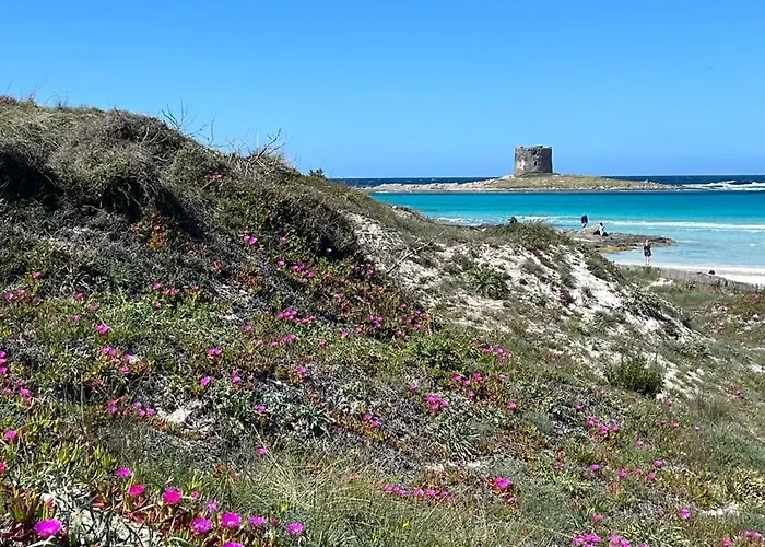 Nura's - Monolocale Sea-front Cala Lupo Apartamento